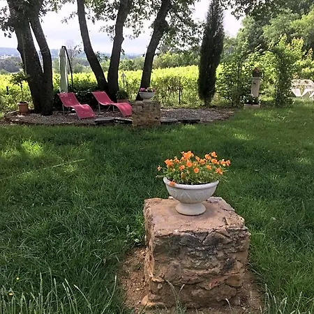 Bed & Breakfast D'hote Couguiolet - Avec Piscine 4*